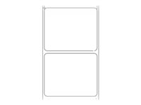 Zebra Z-Ultimate 3000T - labels - glossy - 3888 label(s) - 55 x 45 mm 3012396-T