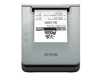 Epson TM L100 (111A0) - receipt printer - B/W - thermal line C31CJ52111A0