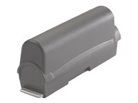 Zebra - handheld battery - 4600 mAh BTRY-WT40IAB0H